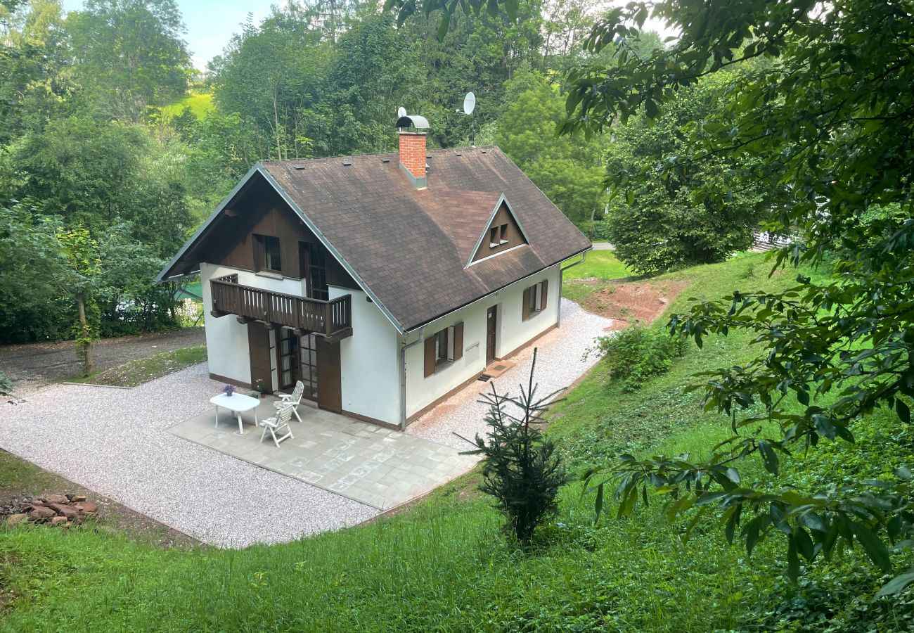 Villa in Rudník - Javornik KJW335