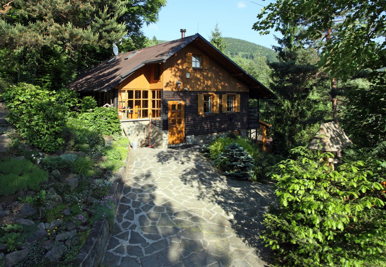 Villa in Malenovice -  Malenovice MMTM563