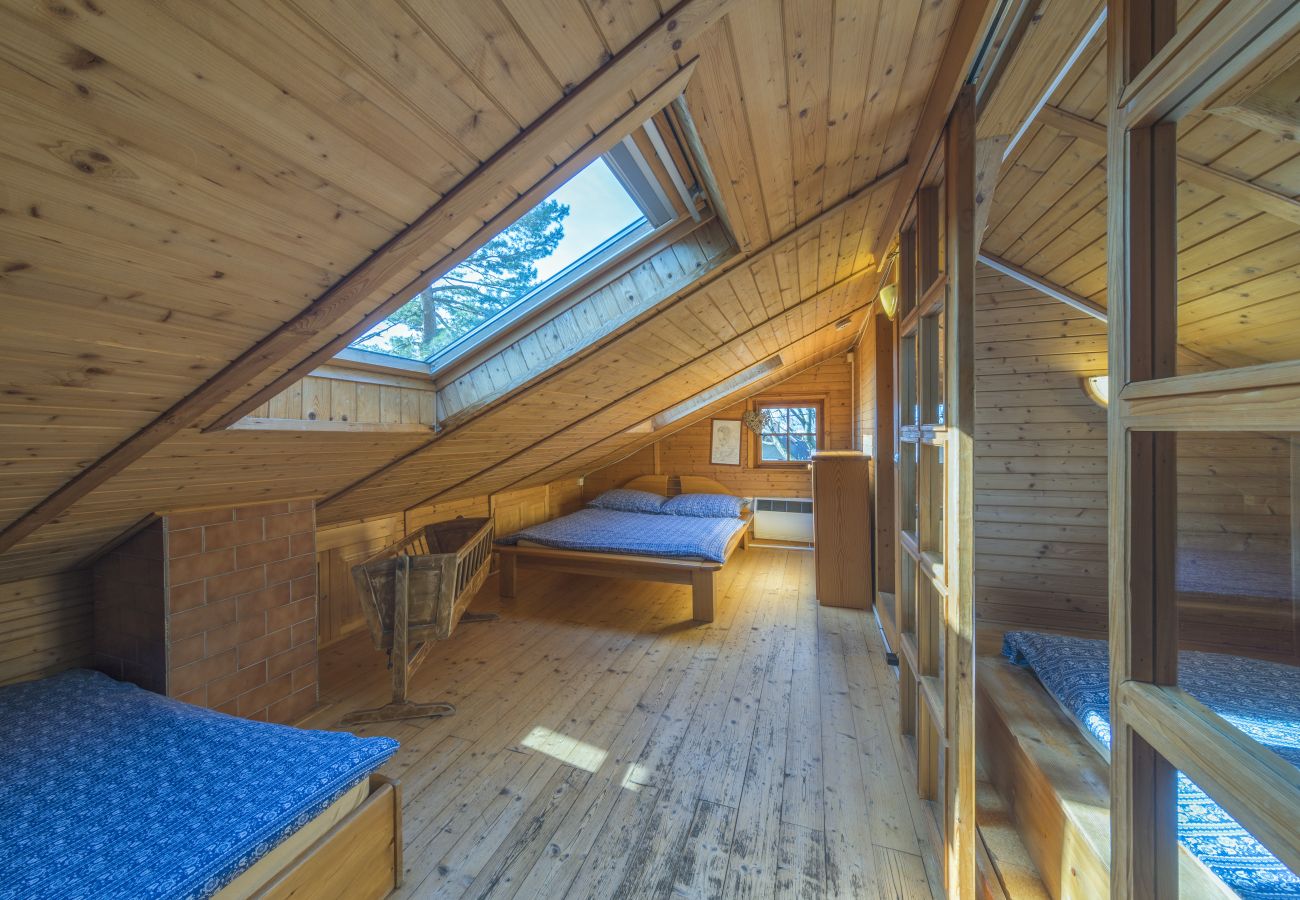 Villa in Malenovice -  Malenovice MMTM563
