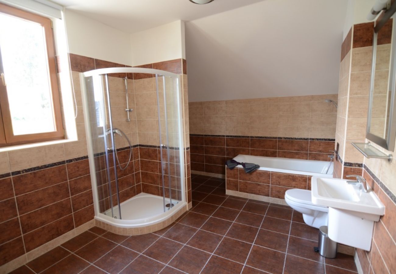 Villa in Lipno nad Vltavou - Lipno nad Vltavou SFRL-VF8 