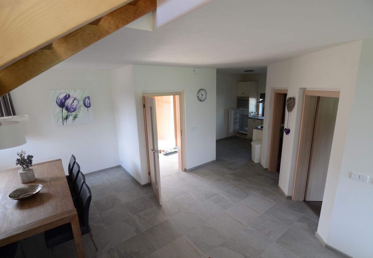 Villa in Lipno nad Vltavou - Lipno nad Vltavou SFRL-VF8 