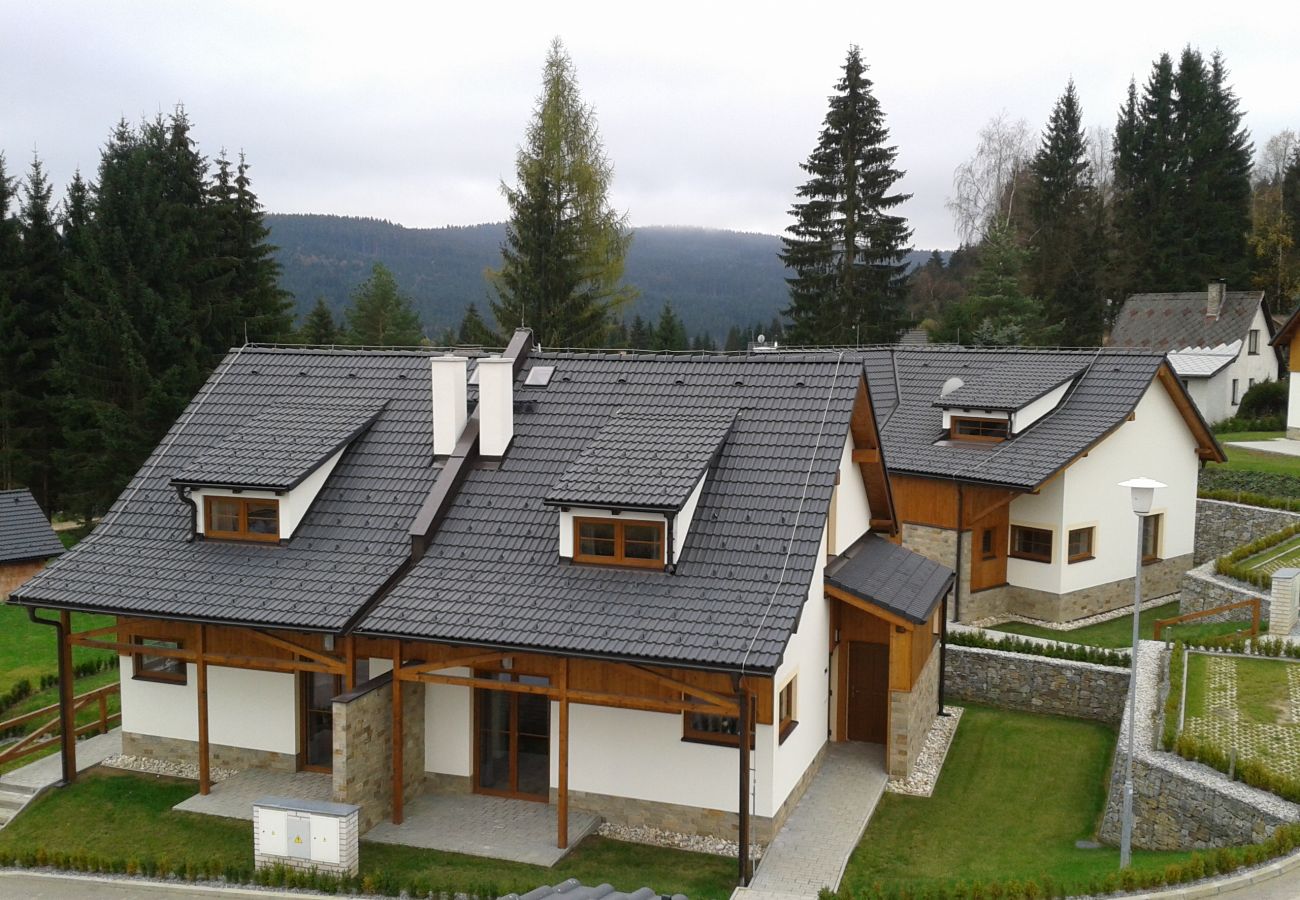 Villa in Lipno nad Vltavou - Lipno nad Vltavou SFRL-VB5