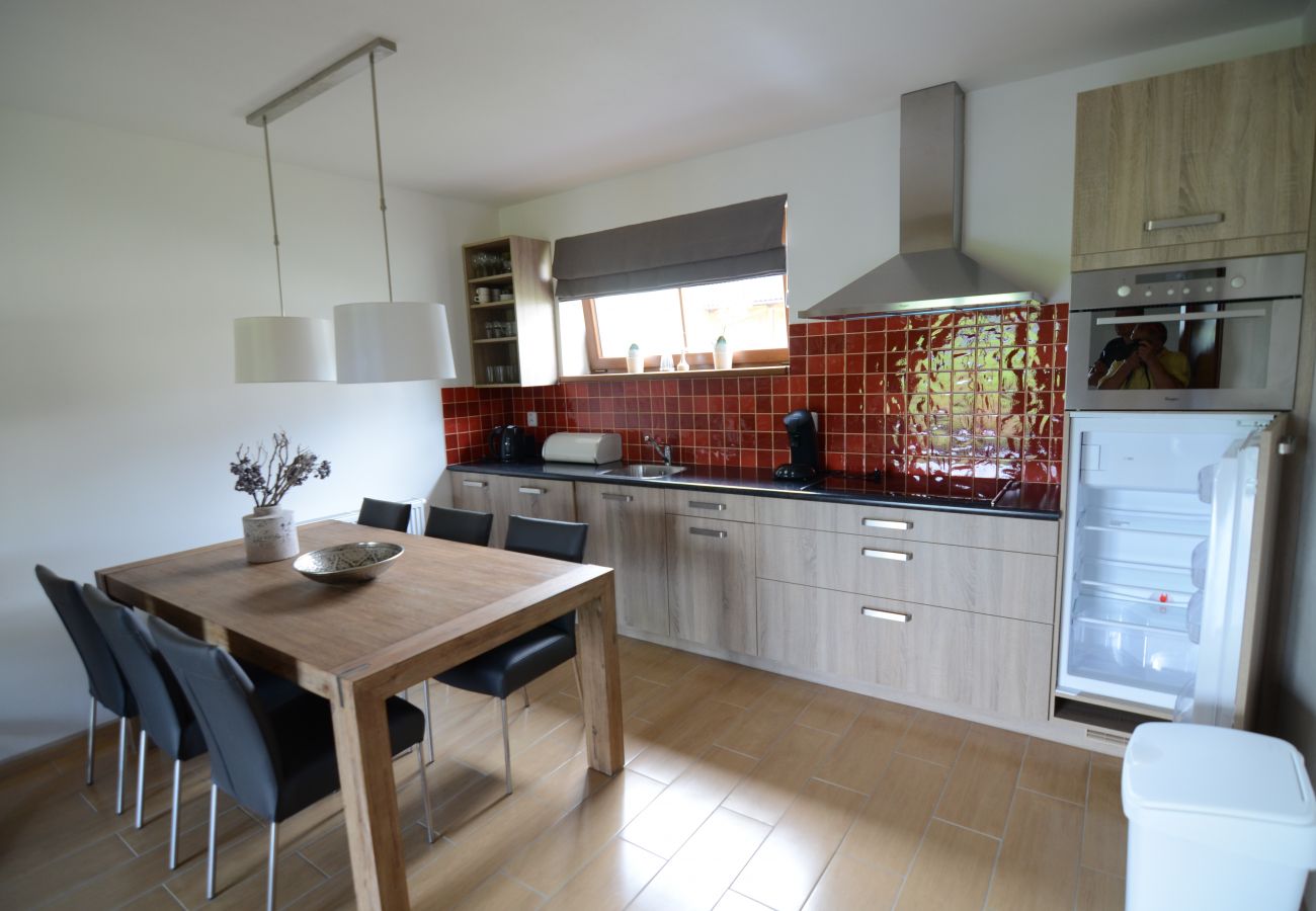 Villa in Lipno nad Vltavou - Lipno nad Vltavou SFRL-VB5