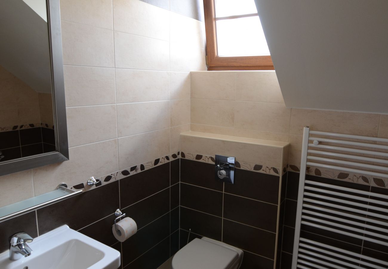 Villa in Lipno nad Vltavou - Lipno nad Vltavou SFRL-VB5