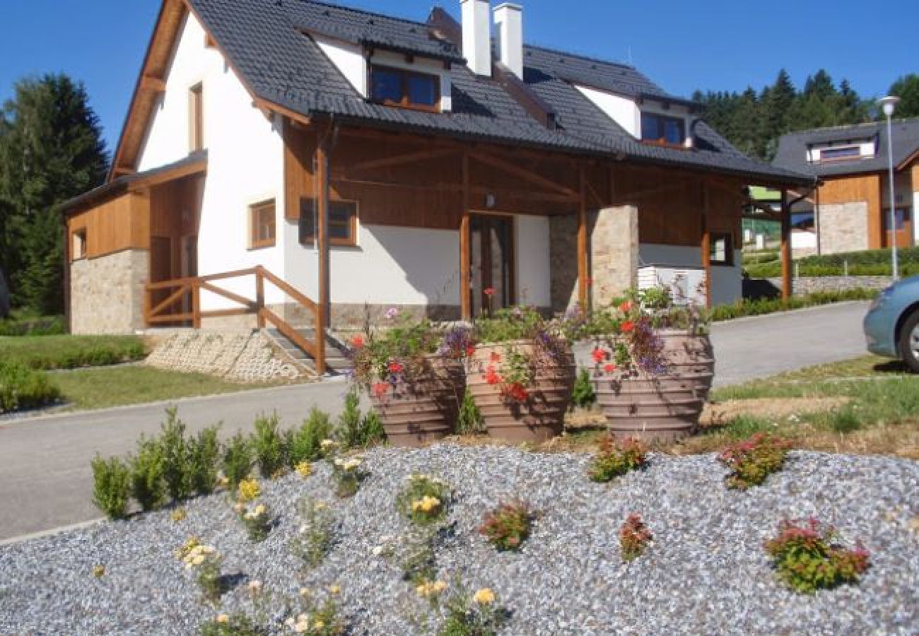 Villa in Lipno nad Vltavou - Lipno nad Vltavou SFRL-VB5