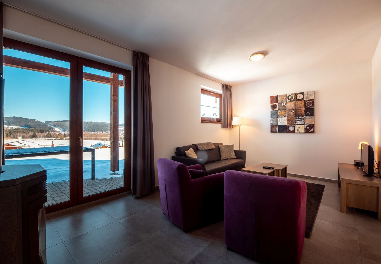 Villa in Lipno nad Vltavou - Lipno nad Vltavou SFRL-VB5