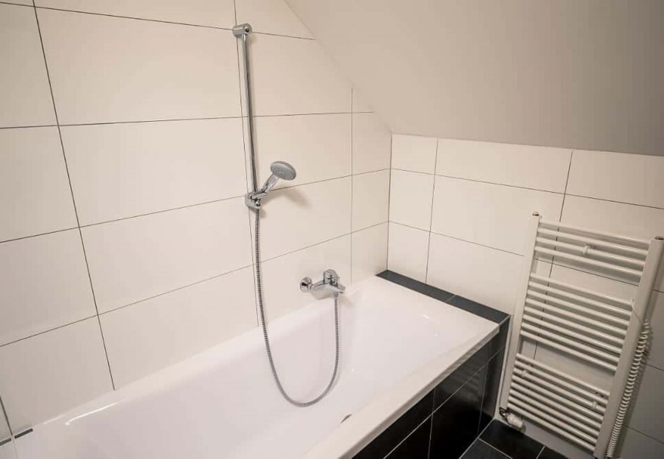 Villa in Lipno nad Vltavou - Lipno nad Vltavou SFRL-VB5