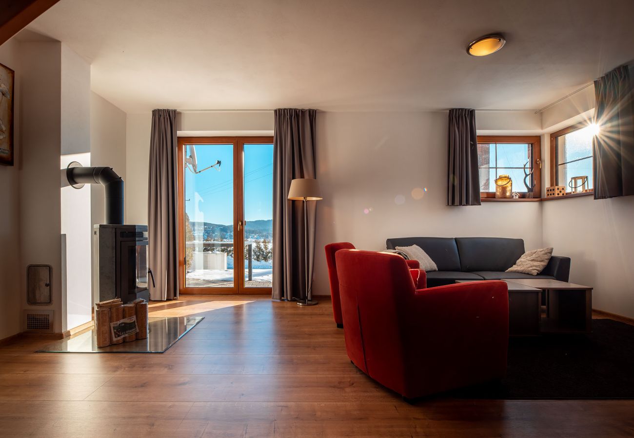 Villa in Lipno nad Vltavou - Lipno nad Vltavou SFRL-VB5