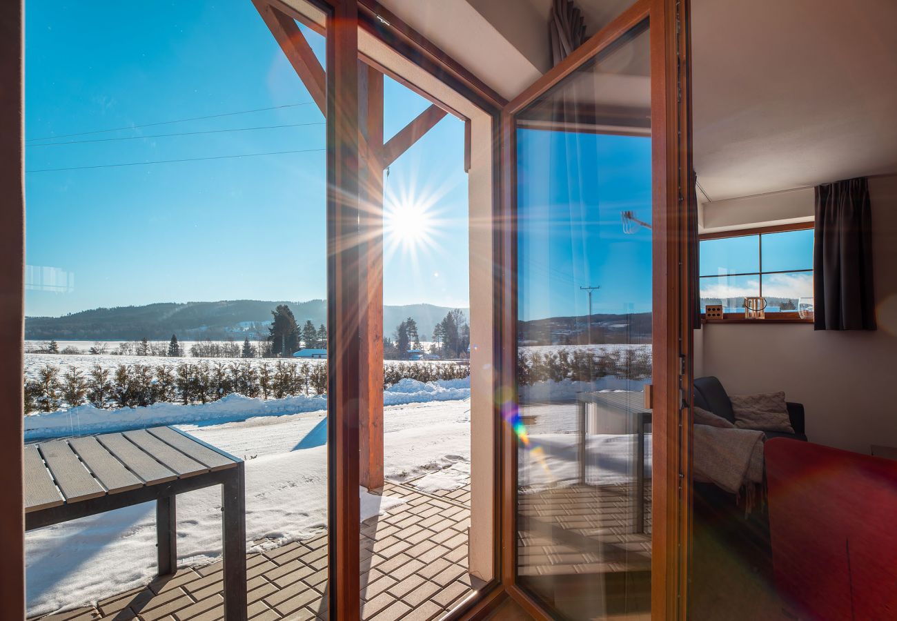 Villa in Lipno nad Vltavou - Lipno nad Vltavou SFRL-VB5