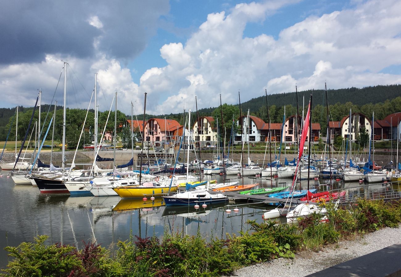 Villa in Lipno nad Vltavou - Lipno nad Vltavou SFRL-VB5