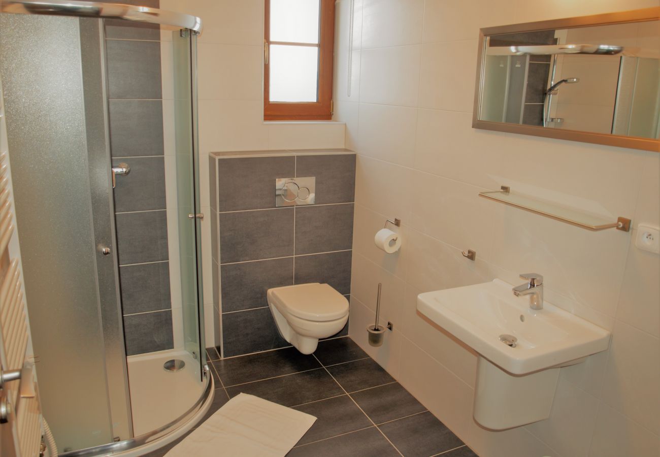 Bungalow in Lipno nad Vltavou -  Lipno nad Vltavou SFRL-BC5
