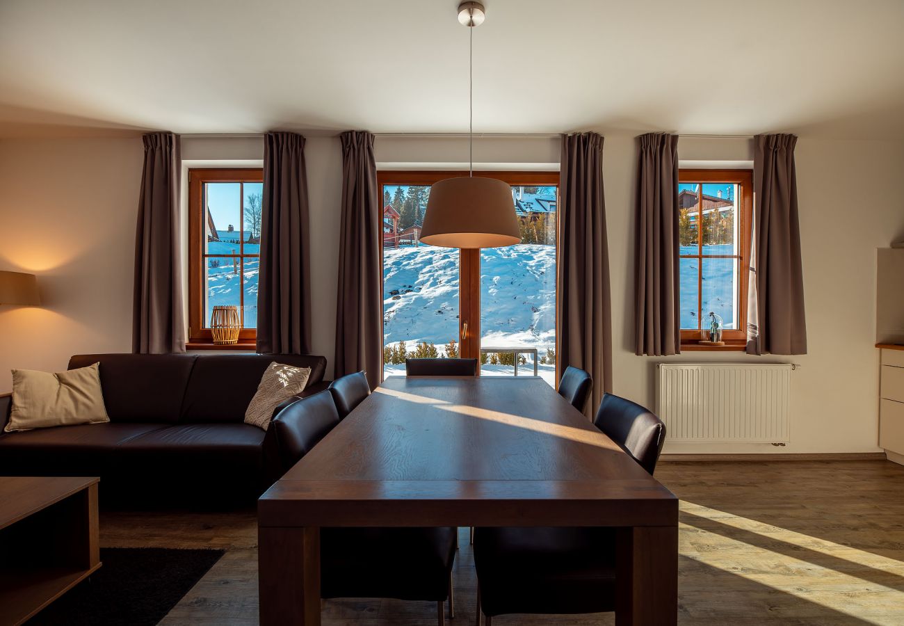 Bungalow in Lipno nad Vltavou -  Lipno nad Vltavou SFRL-BC5