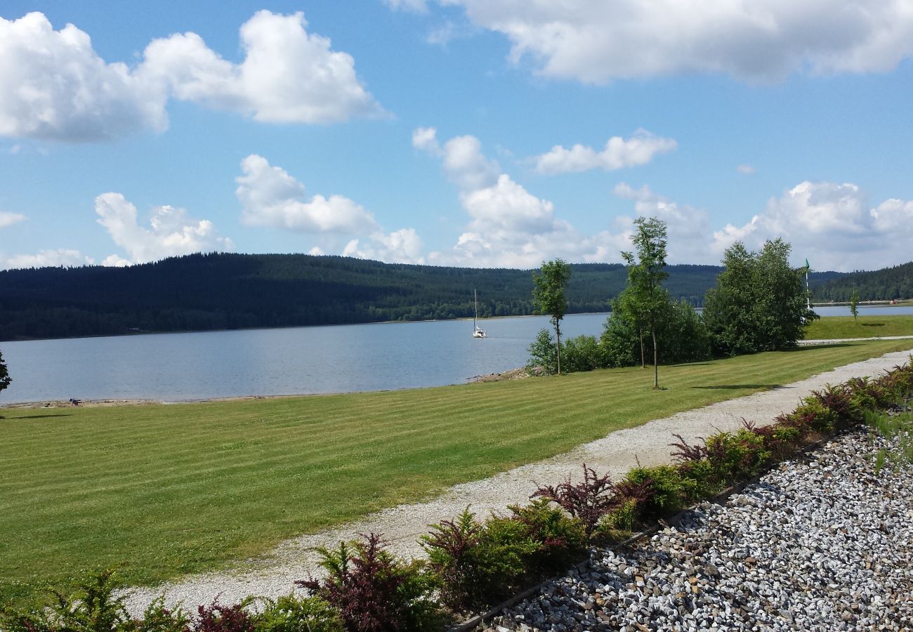 Bungalow in Lipno nad Vltavou - Lipno nad Vltavou SFRL-BL6