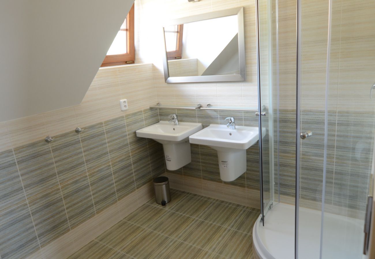 Villa in Lipno nad Vltavou - Lipno nad Vltavou SFRL-VL11