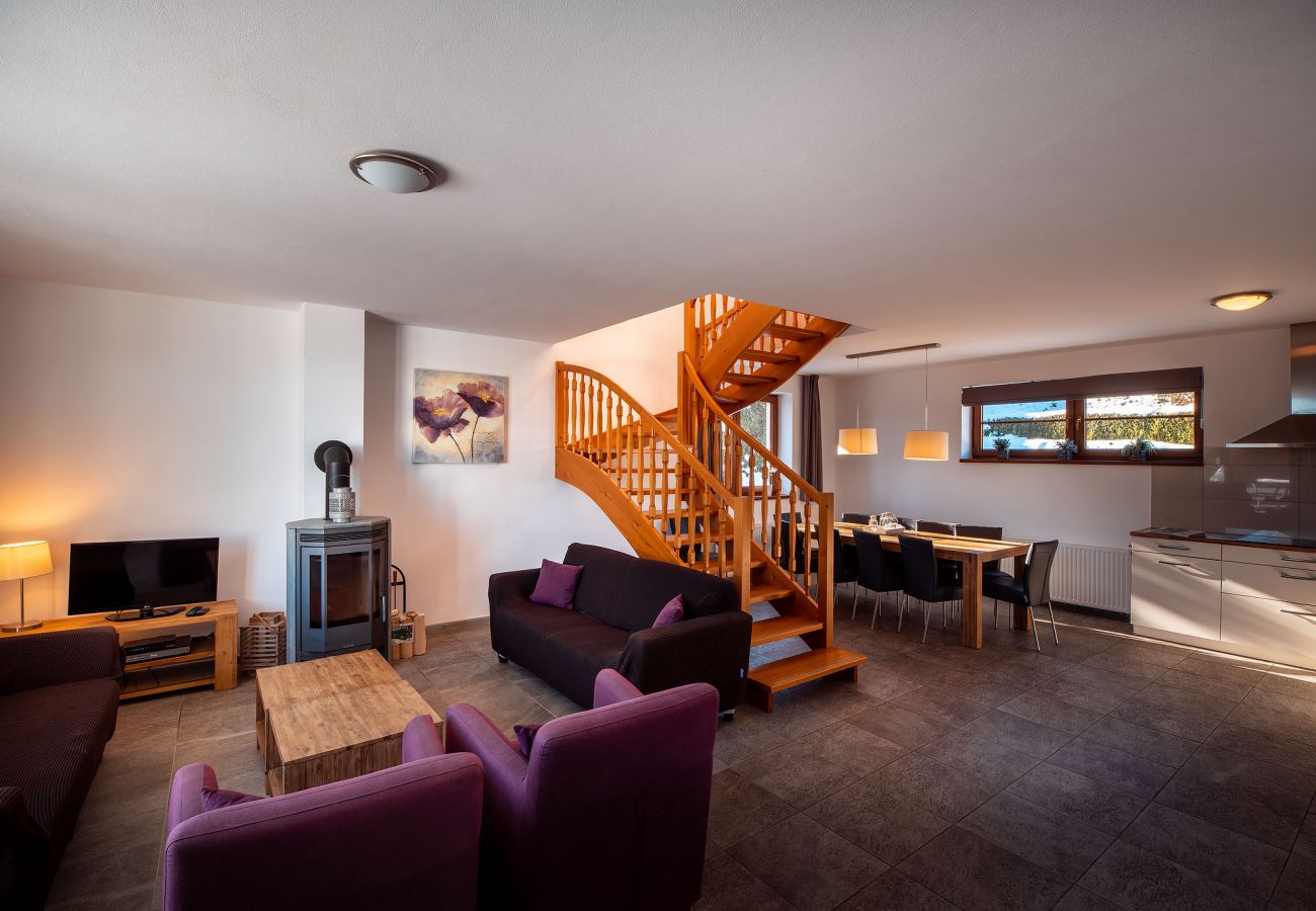 Villa in Lipno nad Vltavou - Lipno nad Vltavou SFRL-VL11
