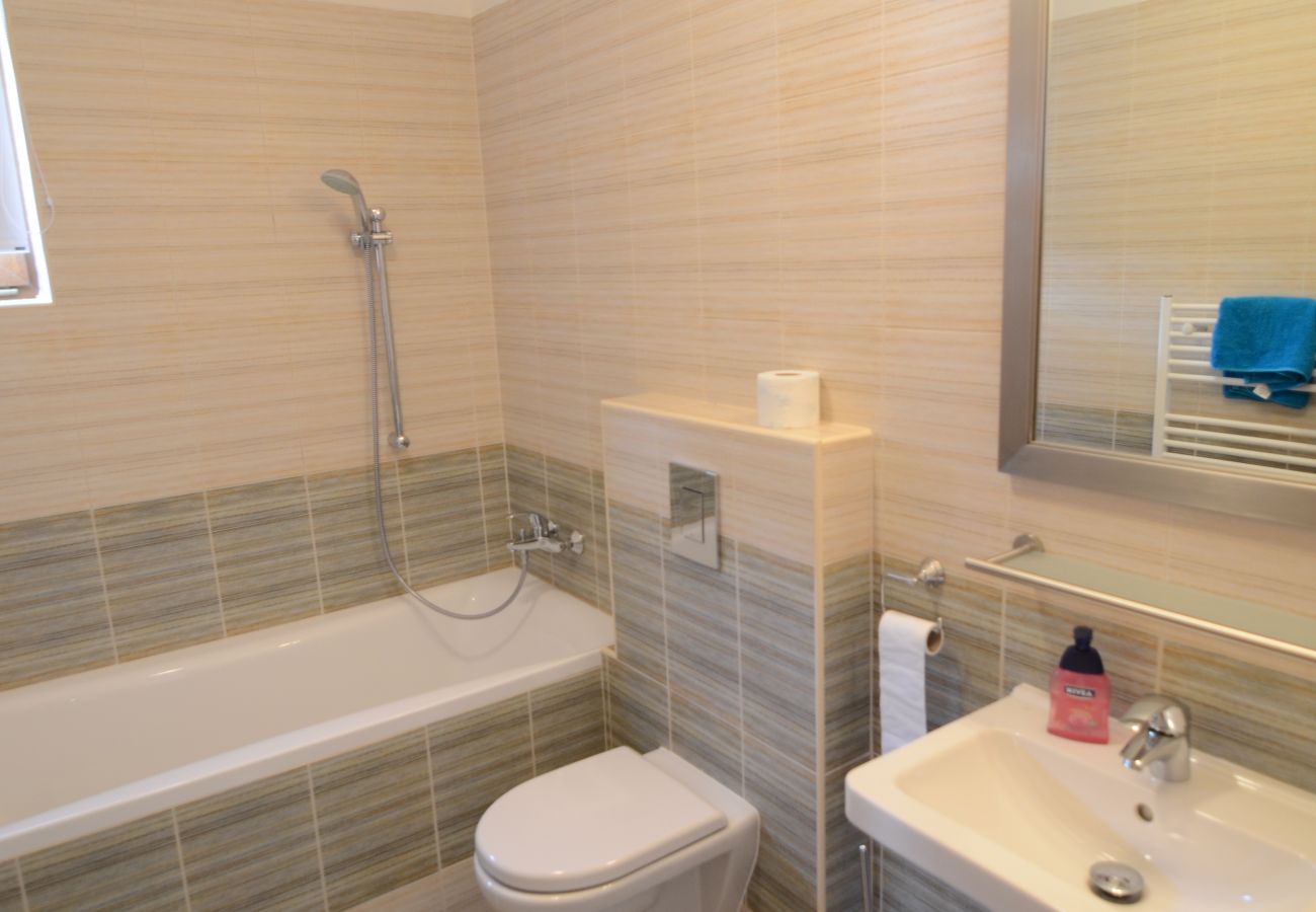 Villa in Lipno nad Vltavou - Lipno nad Vltavou SFRL-VL11