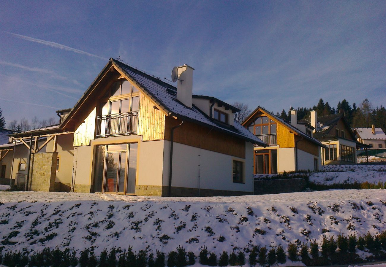 Villa in Lipno nad Vltavou - Lipno nad Vltavou SFRL-VL11