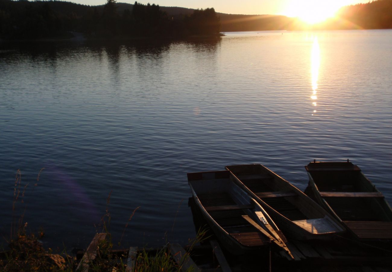 Villa in Lipno nad Vltavou - Lipno nad Vltavou SFRL-VL11