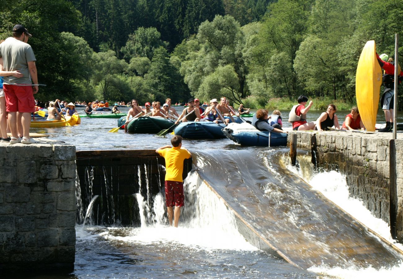 Villa in Lipno nad Vltavou - Lipno nad Vltavou SFRL-VL11