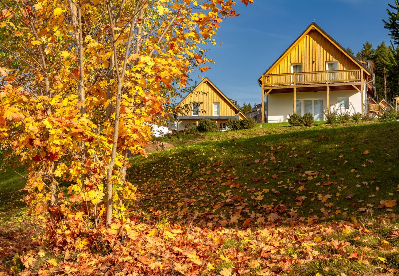 Villa in Frymburk - Lakeside Village SLLV-4