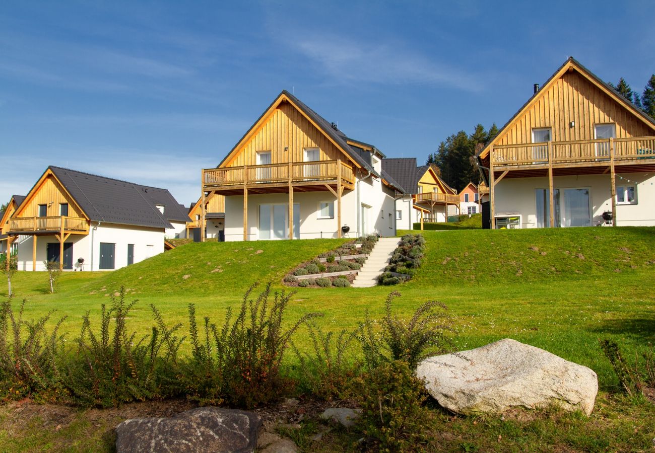 Villa in Frymburk - Lakeside Village SLLV-4