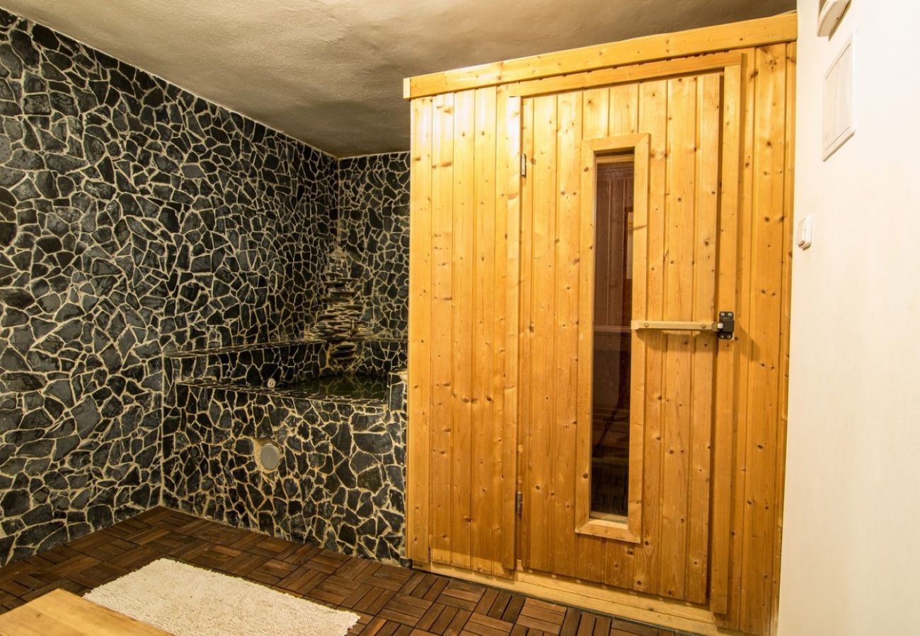 Villa in Rokytnice nad Jizerou -  Rokytnice KRB440