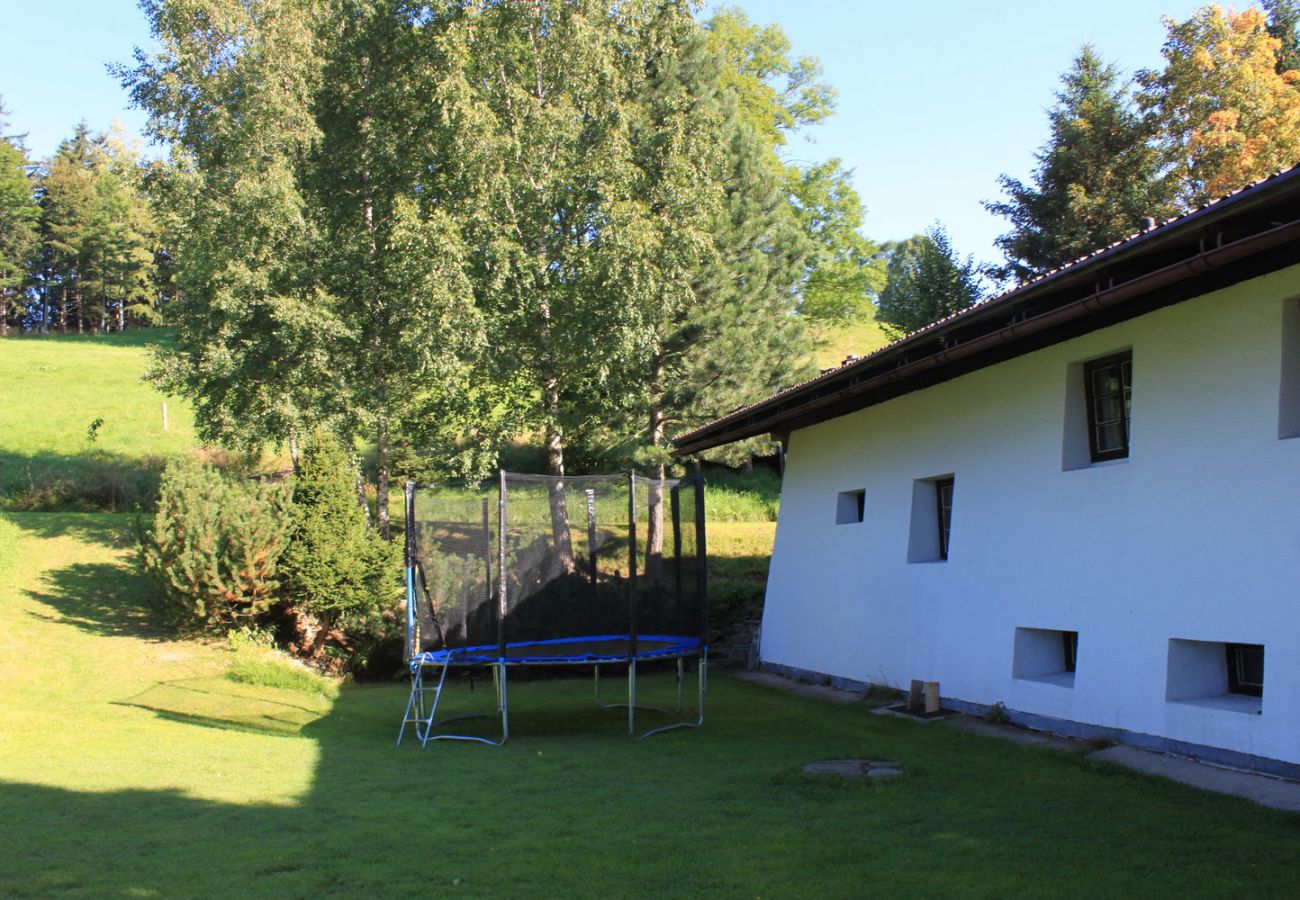 Villa in Rokytnice nad Jizerou -  Rokytnice KRB440