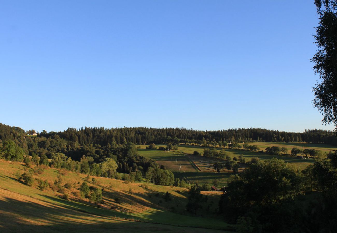 Villa in Rokytnice nad Jizerou -  Rokytnice KRB440