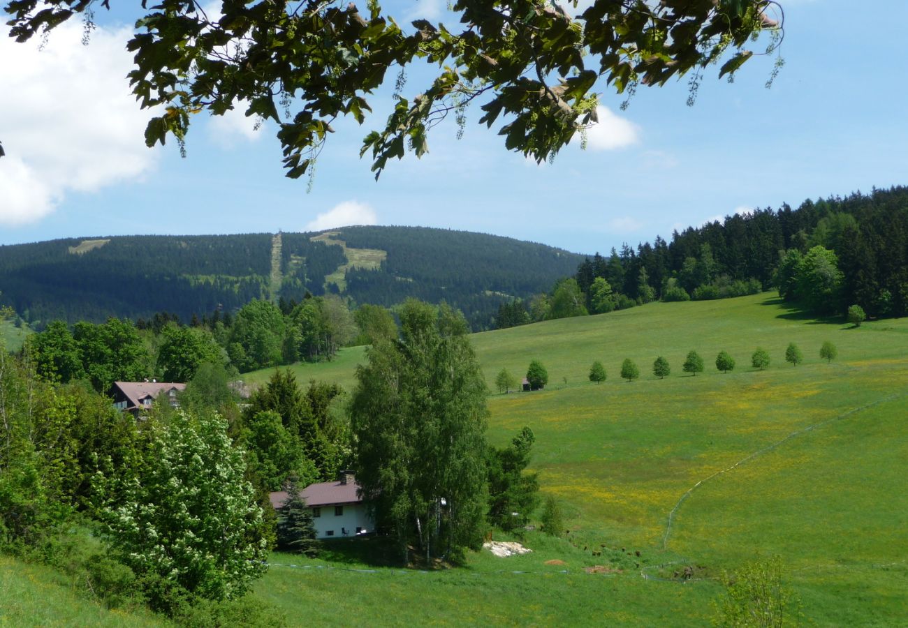 Villa in Rokytnice nad Jizerou -  Rokytnice KRB440