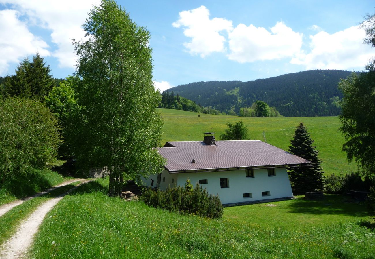 Villa in Rokytnice nad Jizerou -  Rokytnice KRB440