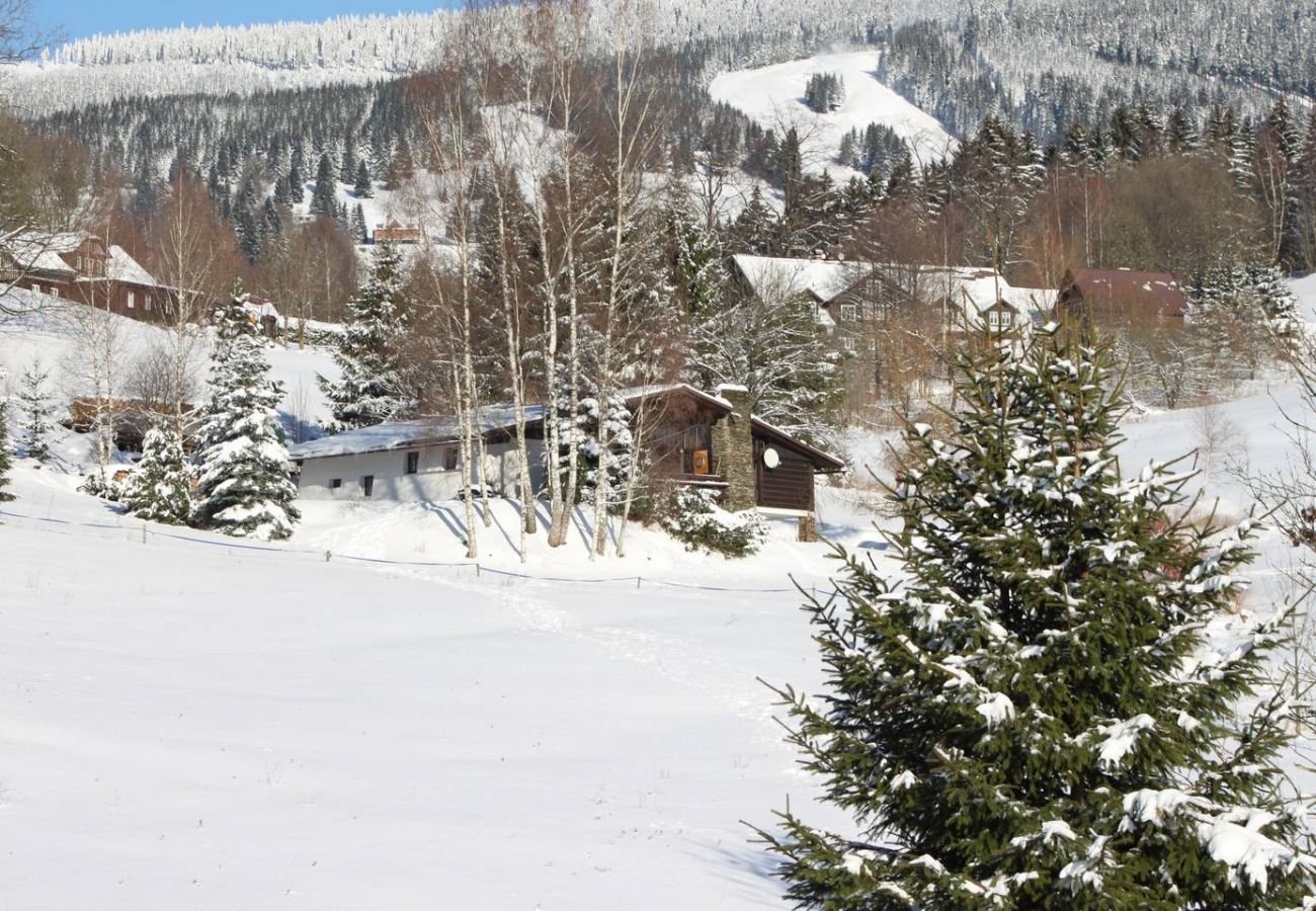 Villa in Rokytnice nad Jizerou -  Rokytnice KRB440