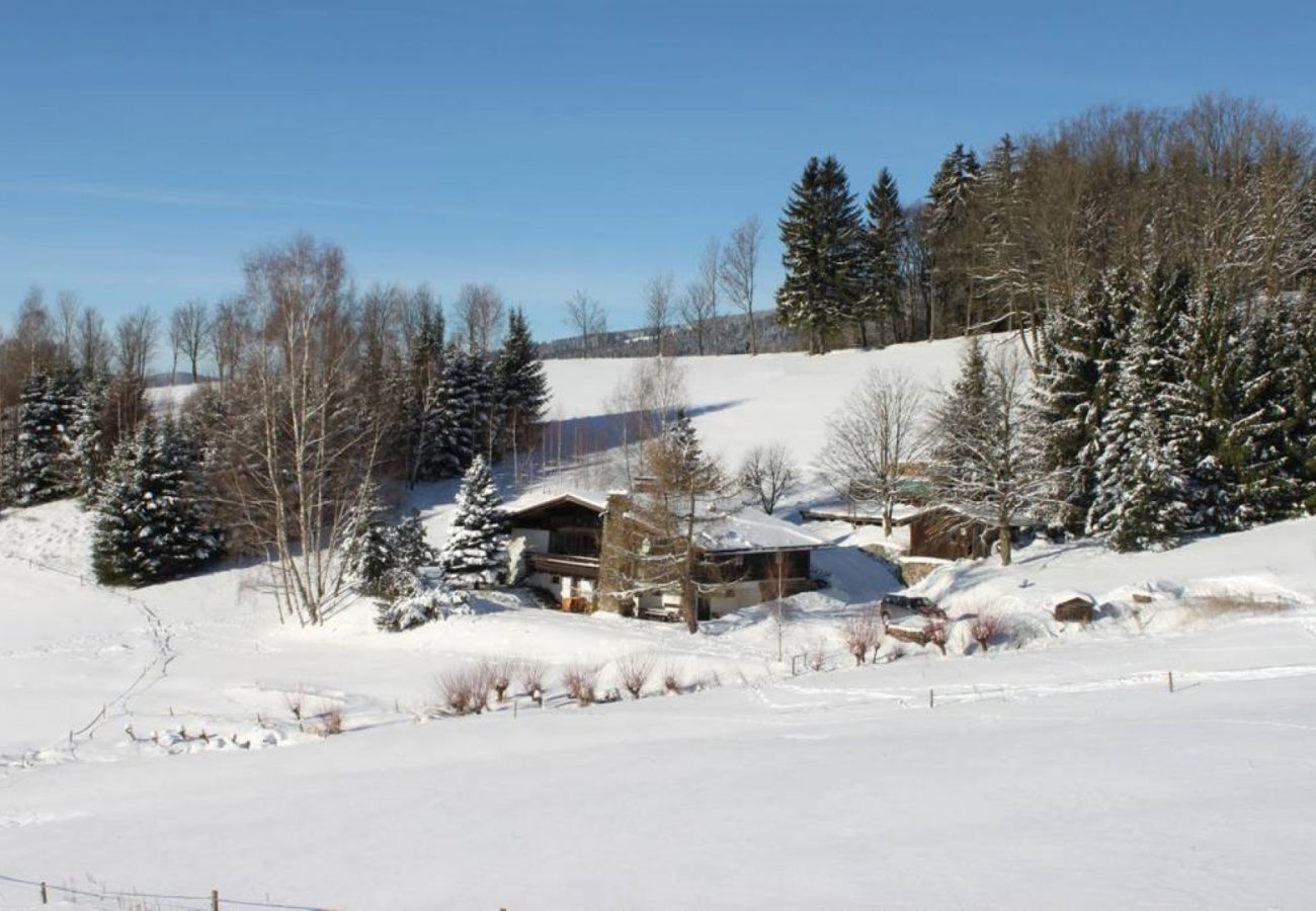 Villa in Rokytnice nad Jizerou -  Rokytnice KRB440