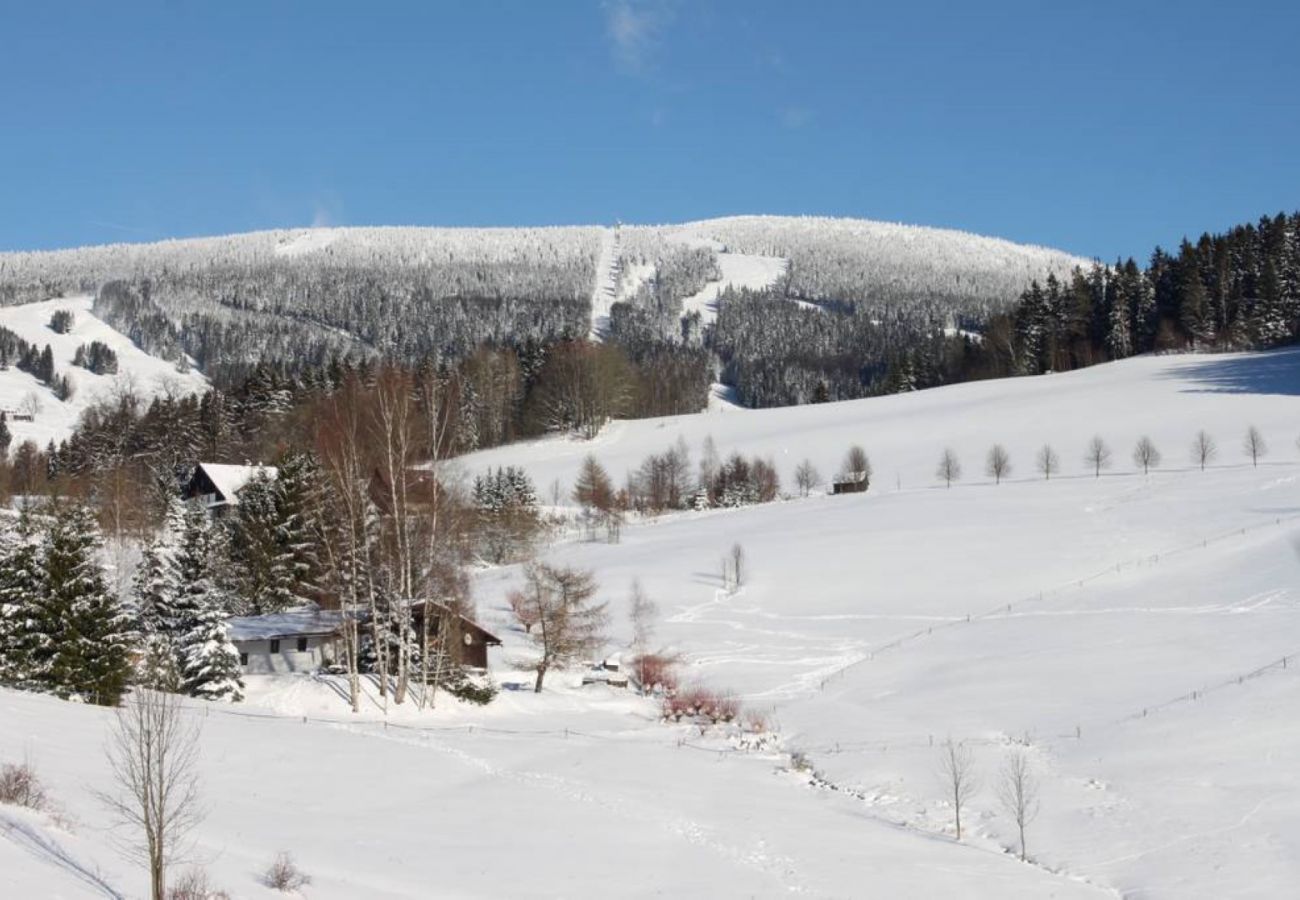 Villa in Rokytnice nad Jizerou -  Rokytnice KRB440