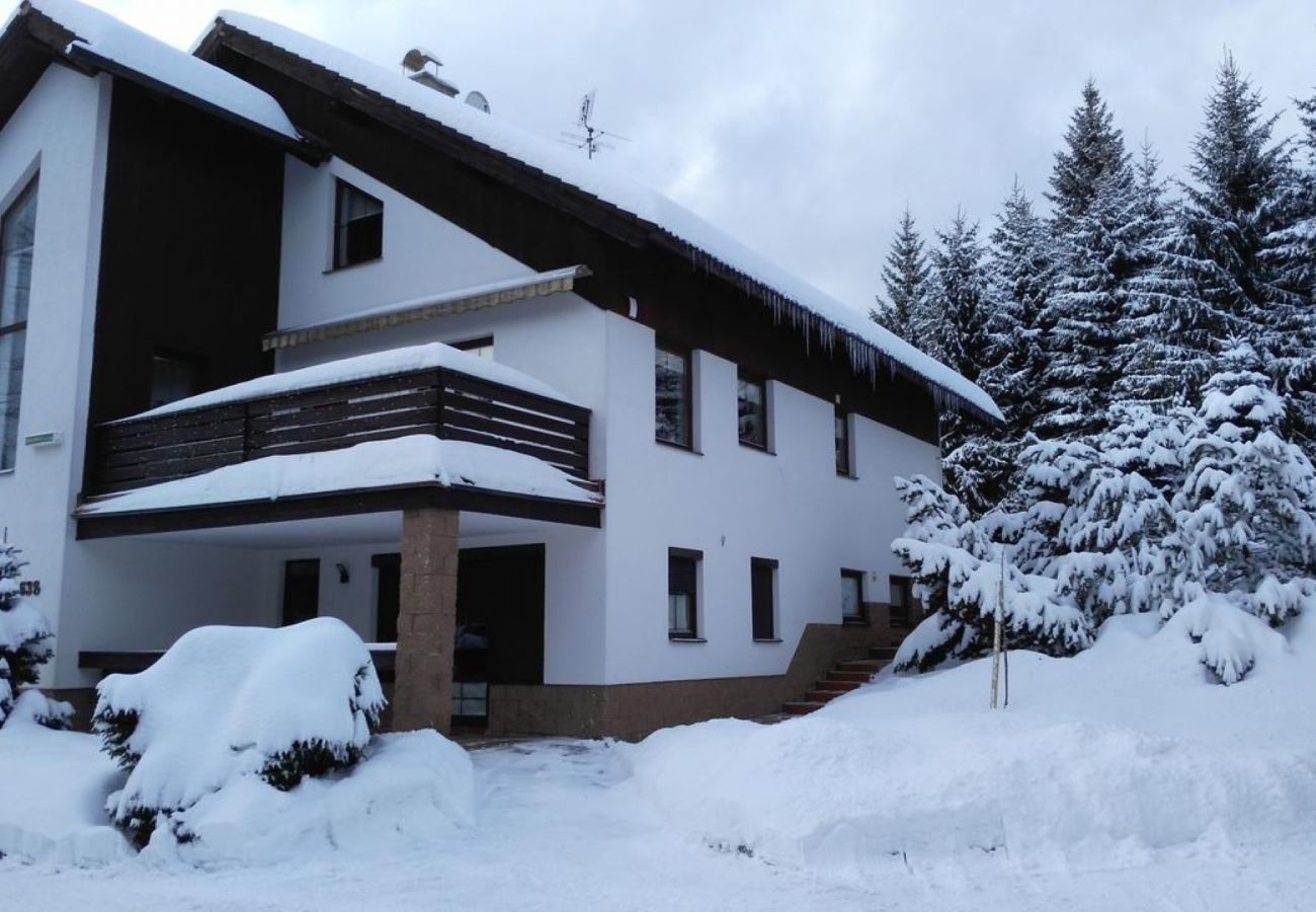 Villa in Harrachov - Villa Harrachov LHJE260