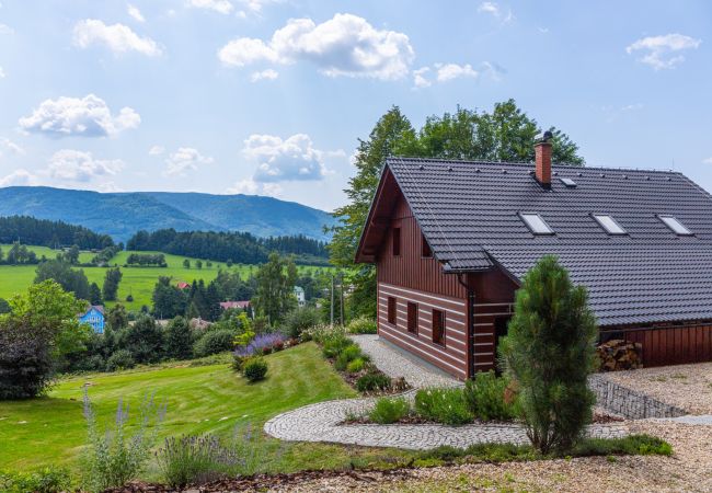 Villa/Dettached house in Lázne Libverda -  Lazne Libverda LLP015