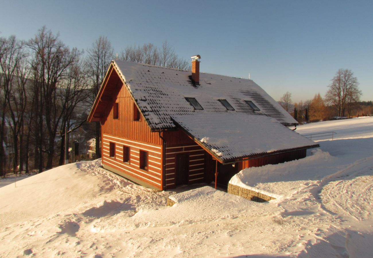 Villa in Lázne Libverda -  Lazne Libverda LLP015