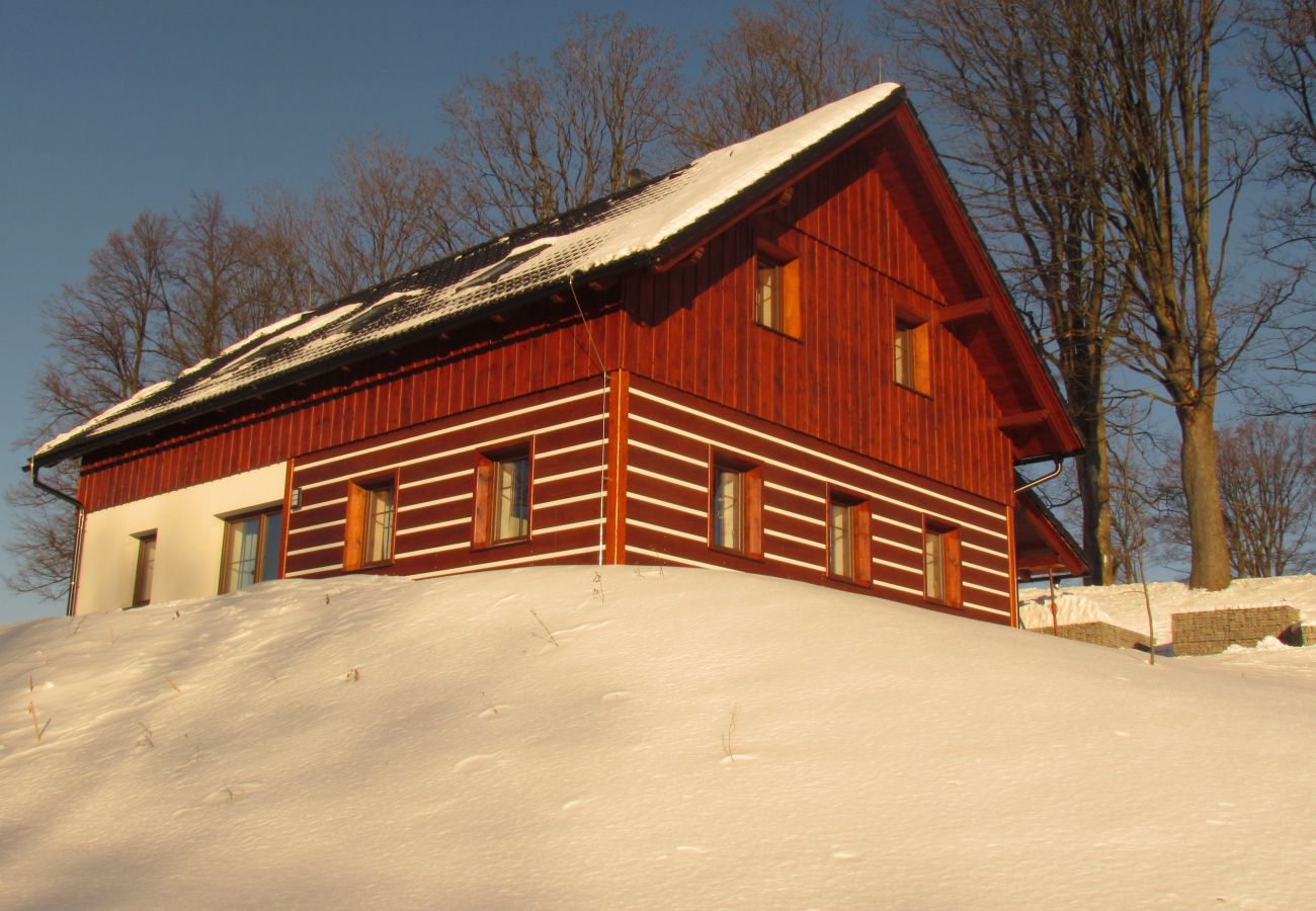 Villa in Lázne Libverda -  Lazne Libverda LLP015