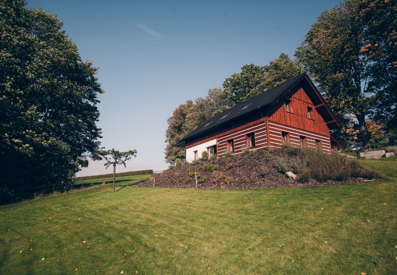 Villa in Lázne Libverda -  Lazne Libverda LLP015