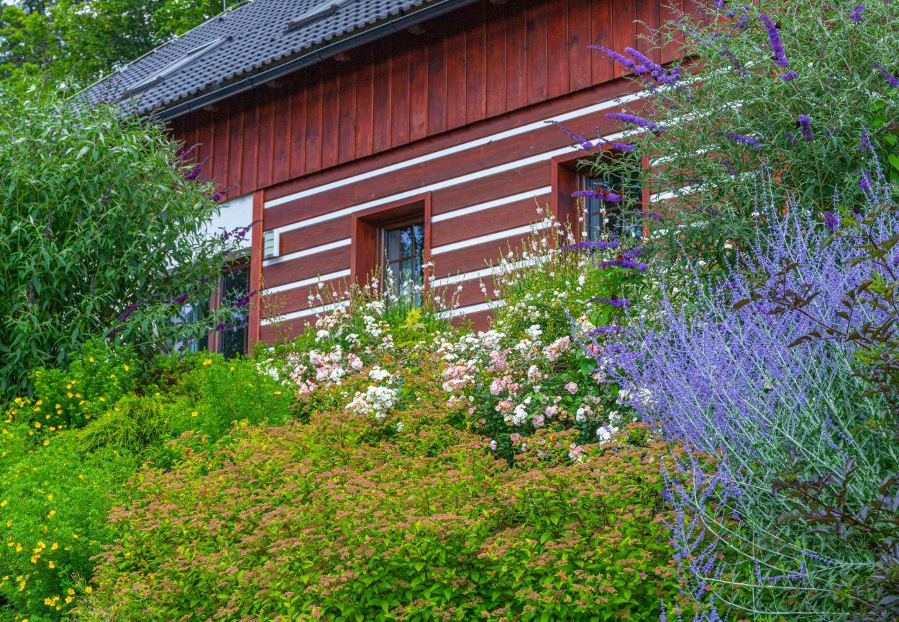 Villa in Lázne Libverda -  Lazne Libverda LLP015