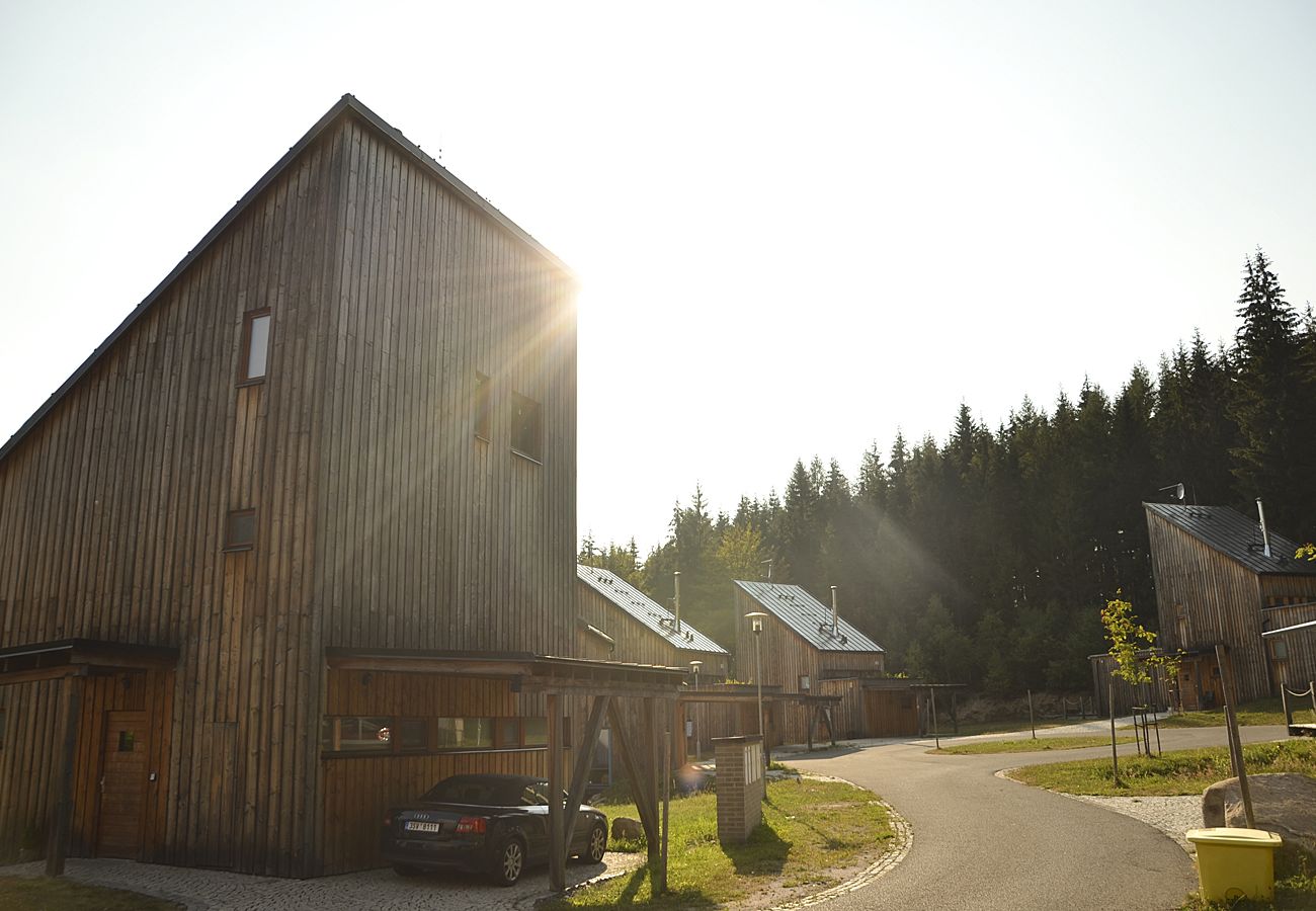 Villa in Harrachov - Harrachov LHS420