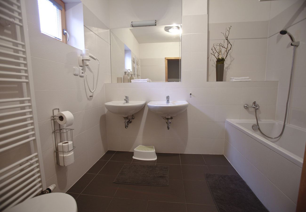 Villa in Harrachov - Harrachov LHS420