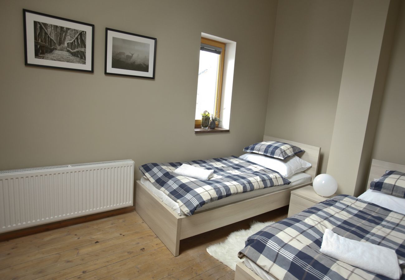 Villa in Harrachov - Harrachov LHS420