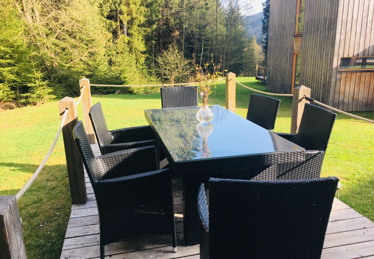 Villa in Harrachov - Harrachov LHS420