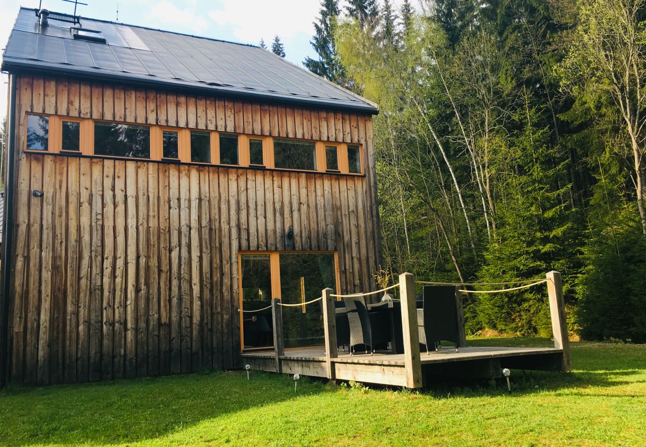 Villa in Harrachov - Harrachov LHS420