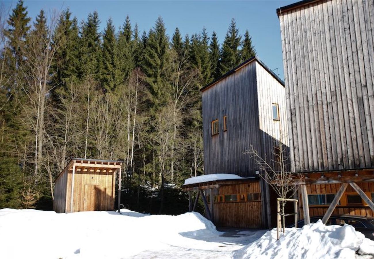 Villa in Harrachov - Harrachov LHS420