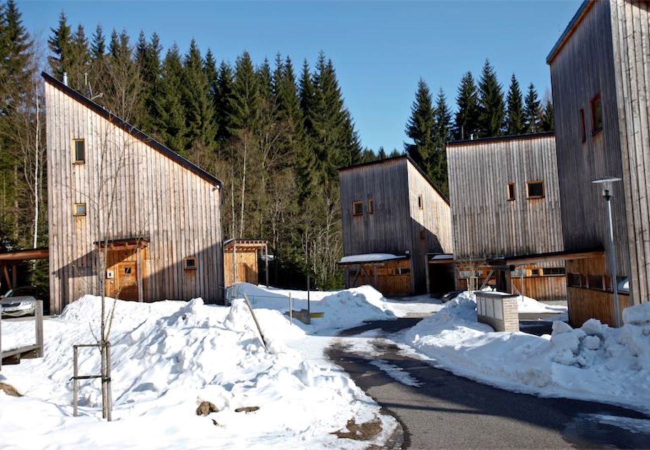 Villa in Harrachov - Harrachov LHS420