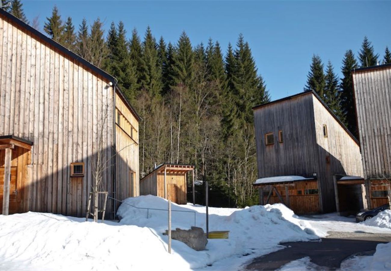 Villa in Harrachov - Harrachov LHS420