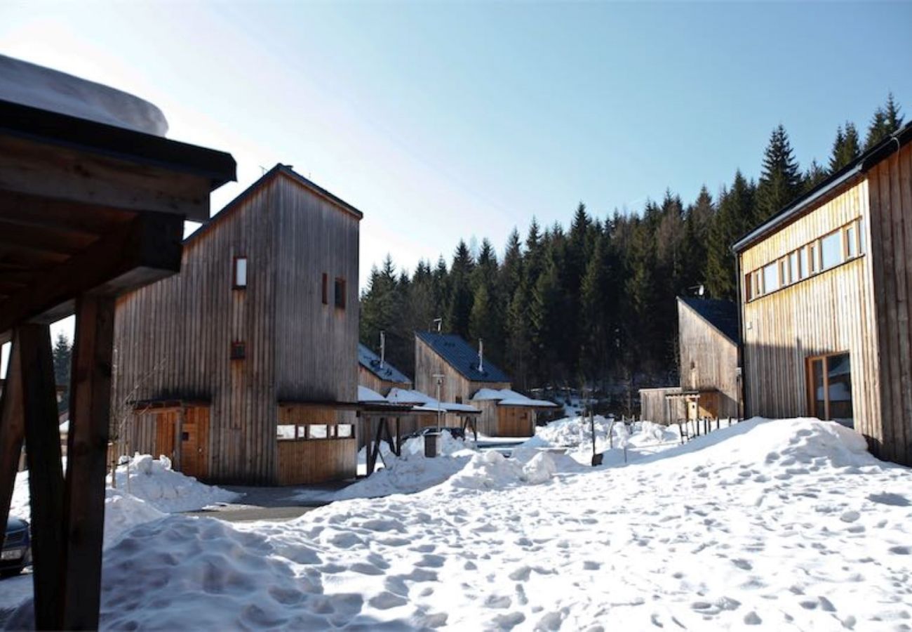 Villa in Harrachov - Harrachov LHS420