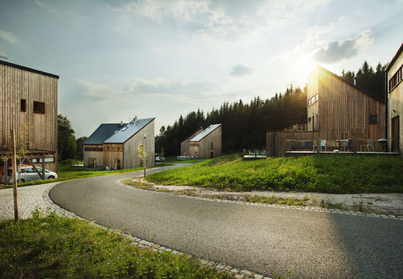 Villa in Harrachov - Harrachov LHS420