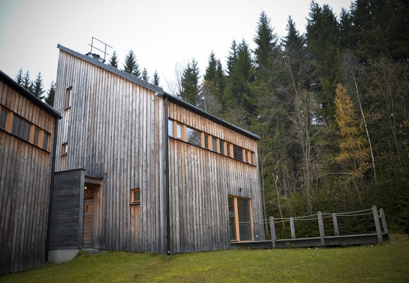 Villa in Harrachov - Harrachov LHS420